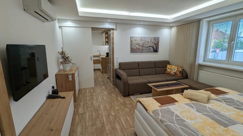 Living room, Photo of the whole room, Seating area, air conditioner