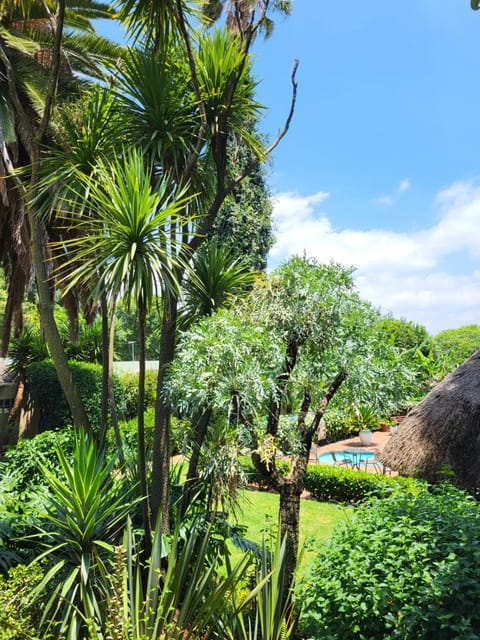 Garden, Garden view, Pool view