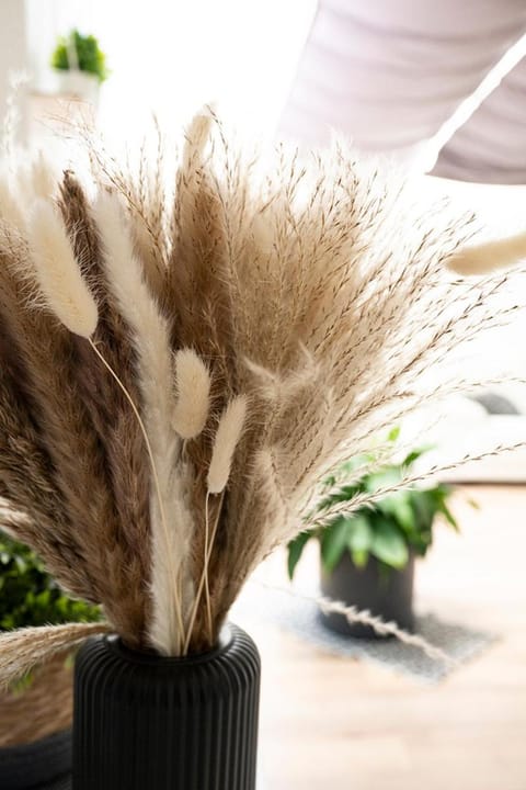 Gîte en Sologne - La Deniserie - 94m2 avec Garage House in Centre-Val de Loire