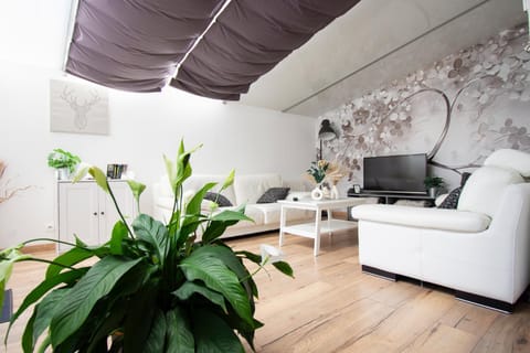 TV and multimedia, Living room, Seating area, internet, internet