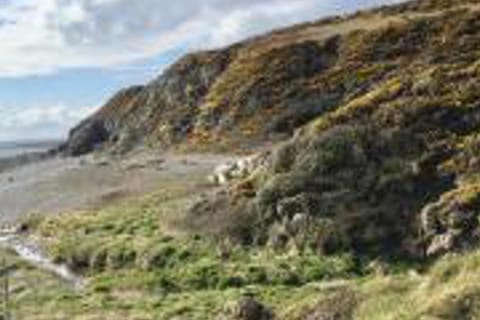 Caravan - Sleeps 4 - Pet friendly - Parking Chalet in England