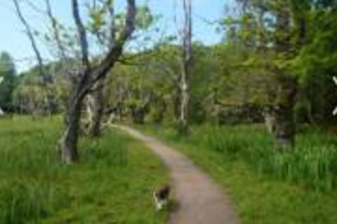 Caravan - Sleeps 4 - Pet friendly - Parking Chalet in England