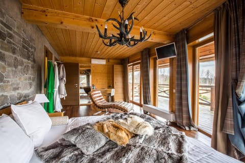 Photo of the whole room, Decorative detail, bunk bed