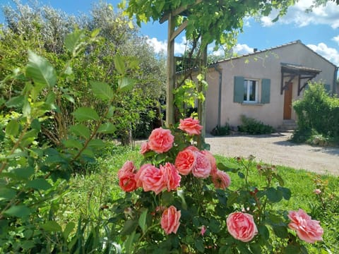 Property building, Garden view