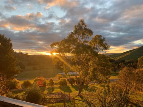 Natural landscape, Garden view, Sunset