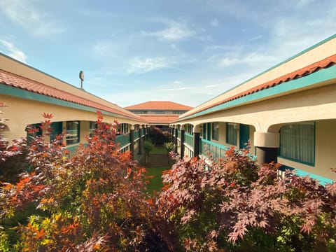 Garden, Garden view, Garden view