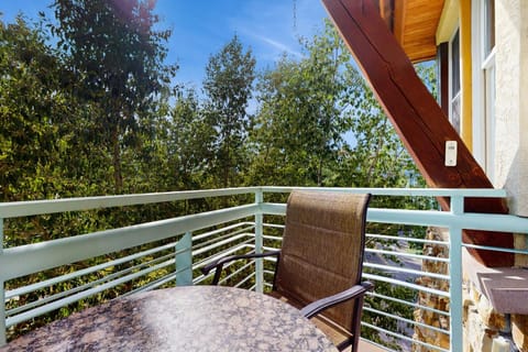 Palmyra 4A - Panoramic Peaks Lodge Apartment in Telluride