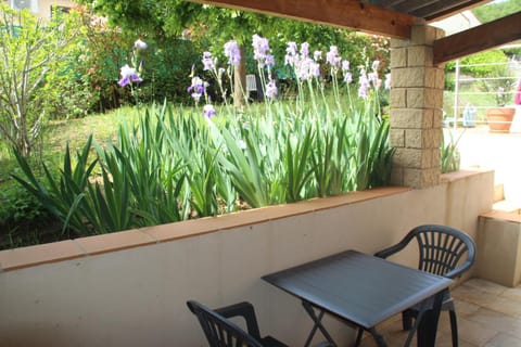 Patio, Garden view