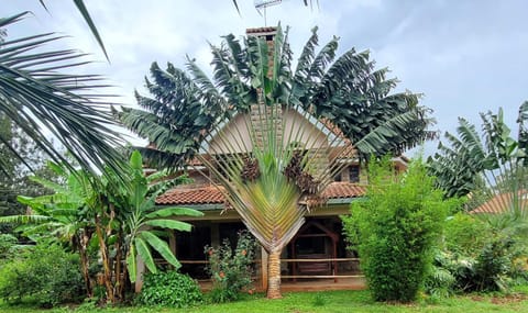 Property building, Garden, Garden view