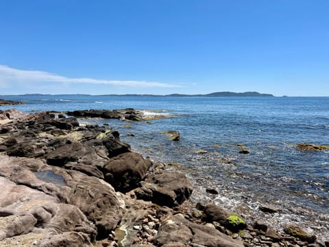 Bord de mer aux Pins Penchés Apartment in Hyères