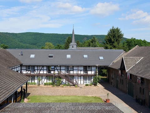 Burg Blens Condominio in Heimbach
