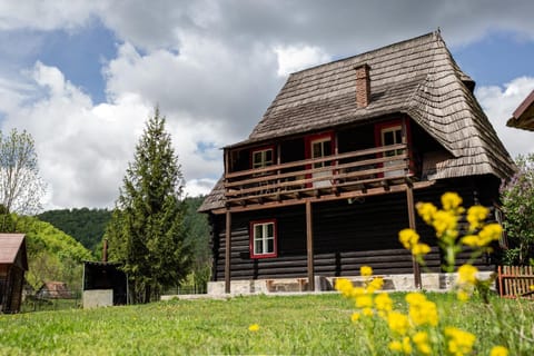 Cabana Iubu House in Cluj County