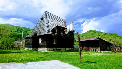 Cabana Iubu House in Cluj County