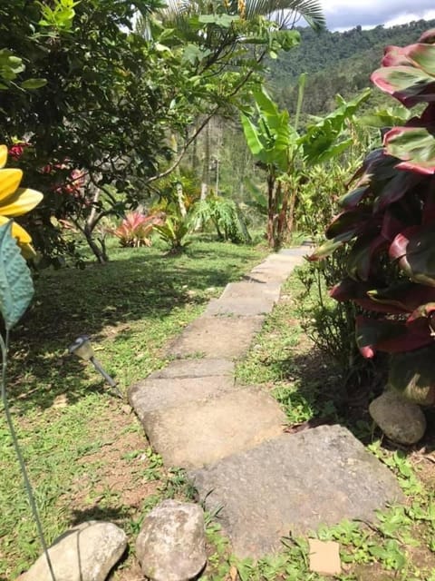 Navarro mountain House in Cartago Province, Costa Rica