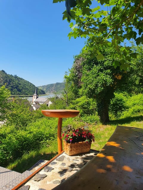 Ferienwohnung zum Rheinblick Apartment in Boppard