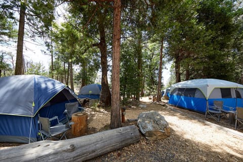 Evergreen Lodge at Yosemite Lodge nature in Tuolumne County