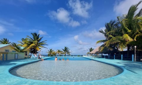 Day, Pool view, Swimming pool, sunbed