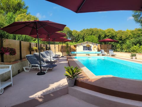 Day, Garden view, Swimming pool, sunbed