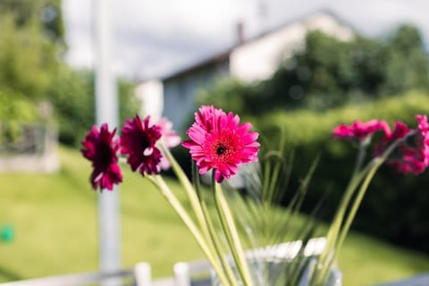 Purer Genuss - Garten und Alpe Apartment in Überlingen