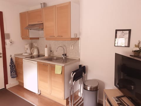 Coffee/tea facilities, Kitchen or kitchenette, minibar, oven, stove, toaster