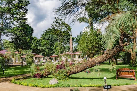 Garden, Garden, Garden view, Garden view