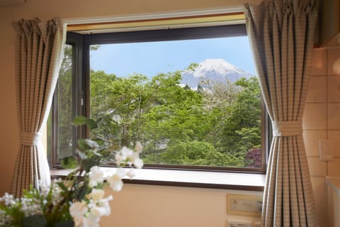 湖の辺の宿時翠 Apartment in Shizuoka Prefecture