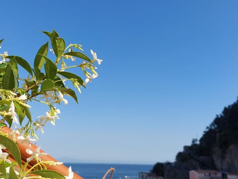 Day, Natural landscape, Sea view