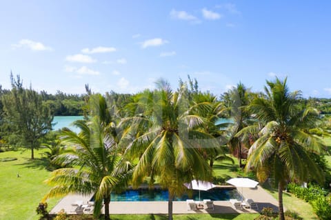 Garden, Garden view, Swimming pool