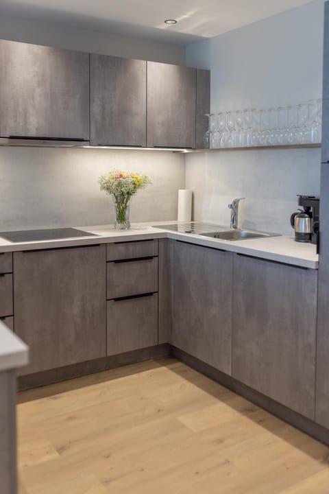 Appartements zum Strossna Apartment in Mayrhofen