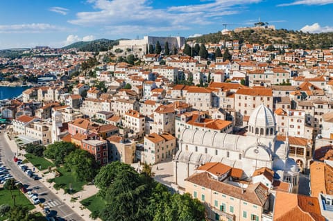 Bird's eye view, City view, Street view