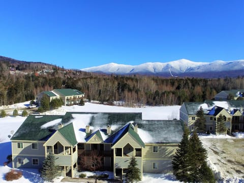 S3 AWESOME VIEW OF MOUNT WASHINGTON! Family getaway in Bretton Woods Apartment in Bretton Woods