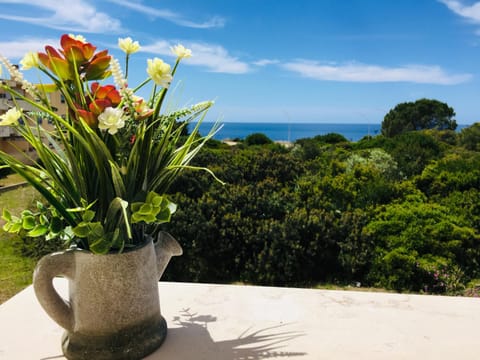 Sea view, Breakfast