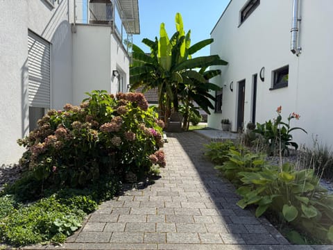 Apartment 1 Zimmer Apartment in Offenburg