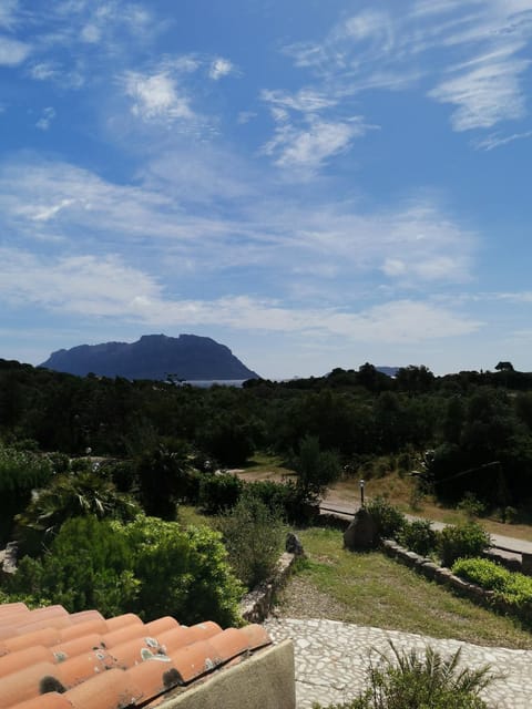 Vacanze da sogno a pochi km. da Olbia House in Porto Istana