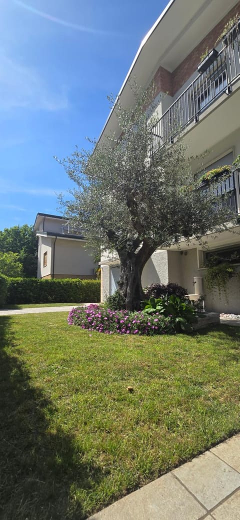 Garden, Garden view