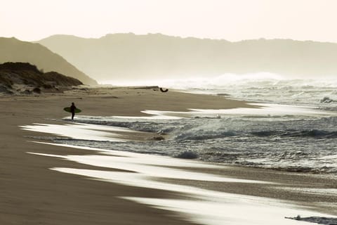 Natural landscape, Fishing, Snorkeling, Windsurfing, Diving, Sea view