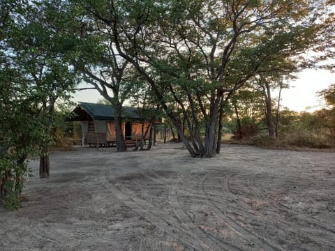 Shower, Toilet, Property building, Bathroom