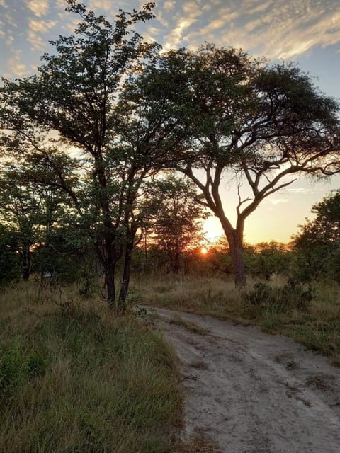 Natural landscape, Sunset