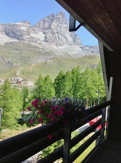 View (from property/room), Balcony/Terrace