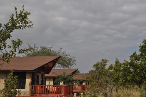 Elephant Rock Luxury Camp Tarangire Luxus-Zelt in Kenya