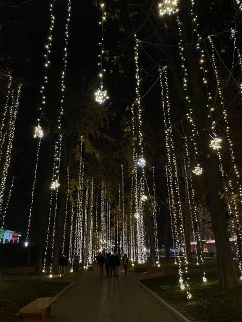 Night, Natural landscape, Activities