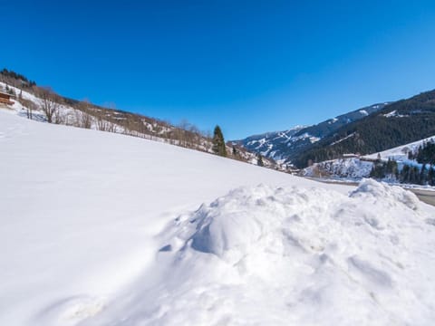 Winter, View (from property/room)