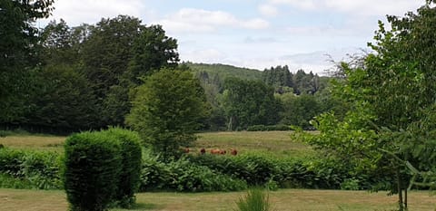 Area and facilities, Area and facilities