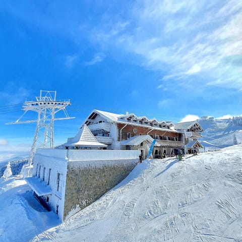 Property building, Natural landscape, Winter, Skiing, View (from property/room)