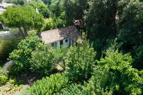 Patio, Garden, Garden view