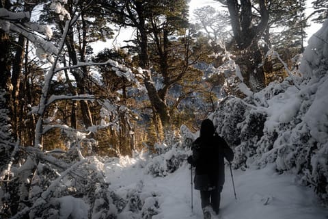 Natural landscape, Winter