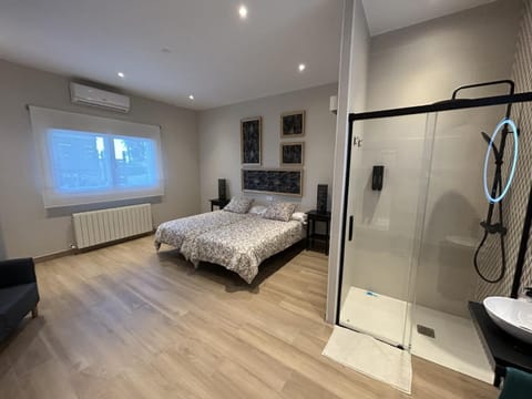 Shower, Bed, Photo of the whole room, Bedroom