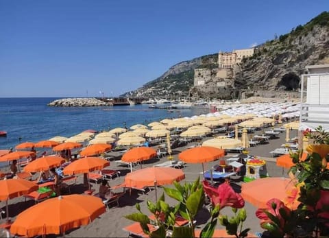 Natural landscape, Beach, Sea view, sunbed