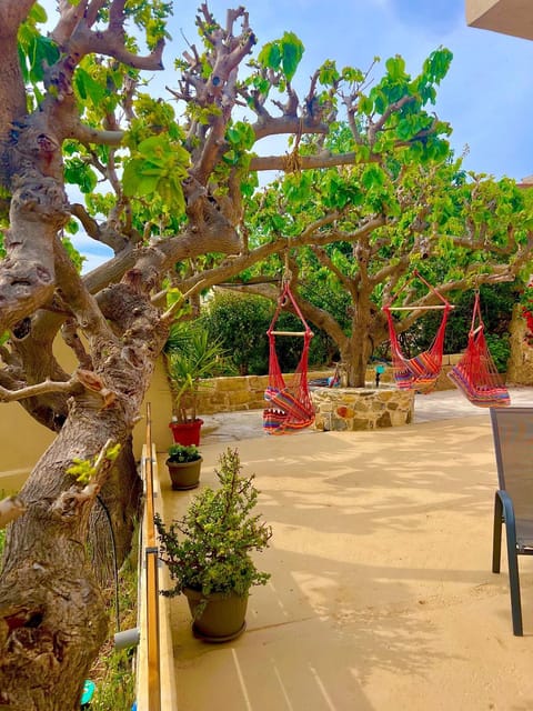 Garden, Inner courtyard view