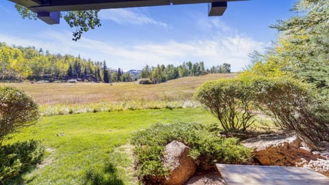 Patio, Mountain view